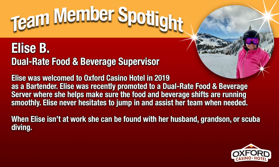 Team Member Spotlight